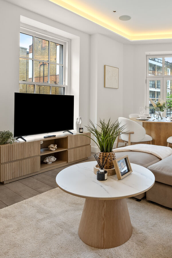 1 Bedroom Apartment view